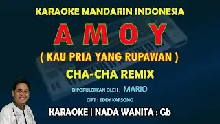 Amoy KARAOKE Mandarin nada wanita Gb Versi Cha Cha Remix (Kau pria yang rupawan)