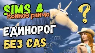 СЕКРЕТНЫЙ ЕДИНОРОГ БЕЗ CAS (ПРЯМО МНЕ НА ДЕНЬ РОЖДЕНИЯ) - Sims 4 Конное ранчо #10