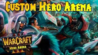 Custom Hero Arena 3D Final