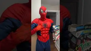 EVIL NERF SPIDERMAN