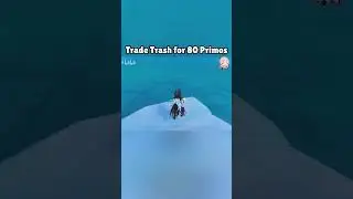 Trade Useless Trash for 80 Primos 