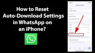 How to Reset Auto-Download Settings in WhatsApp on an iPhone?