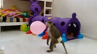 Ещё много шариков осталось после праздника 🎈