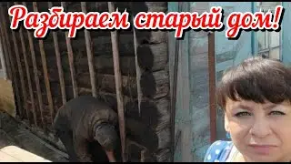 Разбираем старый дом. Что под обшивкой? Заготовки на зиму. Прибираю урожай. Жизнь семьи в деревне.