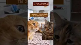Разборки