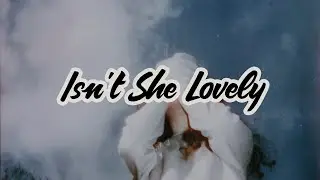 Isn't She Lovely / Instrumental Lofi ChillHop Cover / No Copyright / SoulProdMusic