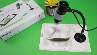 Make Homeschool Fun!!! Plugable Digital Microscope Review...