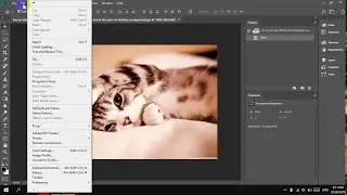 How To Change UI Scaling in Photoshop
