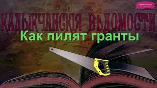 Как пилят гранты