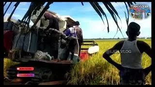 Traktor Bimo bertenaga turbo 6x6 turun sawah