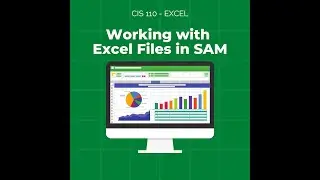 CIS 110 - Excel Module Transition Notes Video