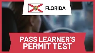 How to Pass Learner’s Permit Test in Florida