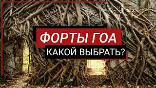 Чем заняться в Гоа?  Стоит ли ехать в  