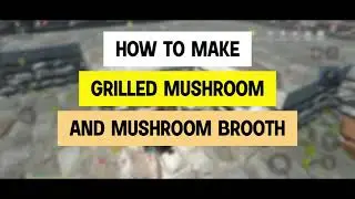 How to make Grilled Mushroom and Mushroom Brooth - Chimeraland Guide