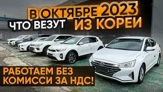 Авто из Кореи ЧТО КУПИТЬ осенью 2023? ЦЕНЫ | Avante | Stonic | Korando | A-Class | Carnival |Sorento