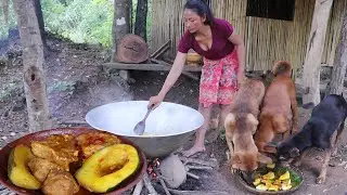 Cooking beef spicy with for dinner with dog, Cooking egg in Pumpkin, A lot catfish in river