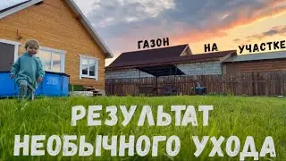 Газон как на картинке вместо сорняков! Легко ли это? весь процесс за 6 минут.