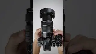Thinking about Micro Four Thirds? 