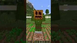Minecraft Scarecrow!