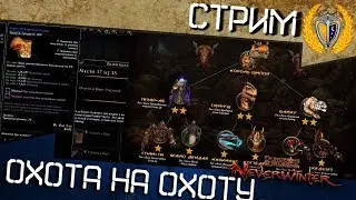 Игра Neverwinter, Охота на охоту, гонимся за шмотом!..