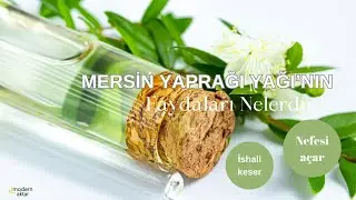 MODERN AKTAR MERSİN YAPRAĞI YAĞI|FAYDALARI NELERDİR?