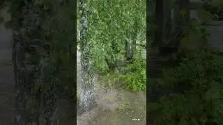 Микрорайон Берёзки