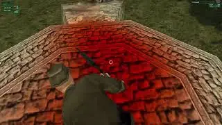Always feed the cat