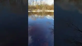 В поисках хариуса - поворот реки перед быстриной - вода прозрачная #fishing