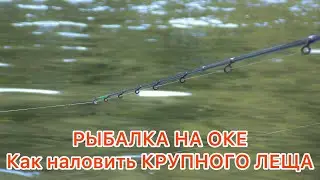 РЫБАЛКА на ОКЕ / КАК поймать МНОГО ЛЕЩА / Всю ночь КОРМИЛ утром НАЛОВИЛ