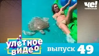 Улетное видео | Выпуск 49