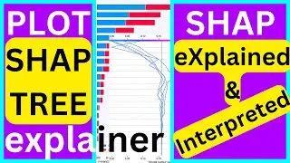 SHAP Plot interpreted and Explained. How to Plot SHAP Tree Explainer Using Python.