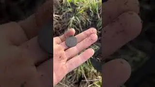 Находки НА ОГОРОДЕ😱 коп с Нокта ЛЕГЕНДА 