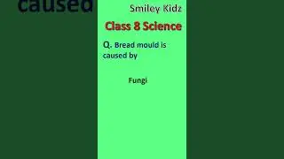 Class 8 Microorganisms : Friend and Foe #shorts #ytshorts #class8 #science #ytshorts #yt