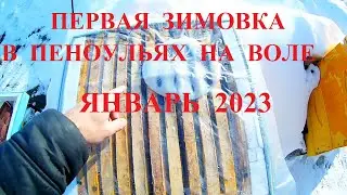 Зимовка в пеноульях на воле. Январь 2023г. Карника. Южный Урал