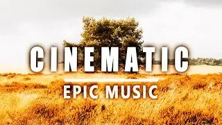 ROYALTY FREE CINEMATIC MUSIC (Audiojungle Pond5 Copyright Music) Royalty free Epic Cinematic Trailer