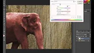 Photoshop - Change the Color of a Selection or Layer - Hue and Saturation - Unsharp Mask