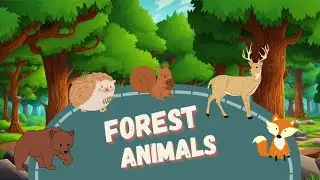 Forest Animals. Animal Shadow Detectives! Guess the Animal! A Fun Learning Game | English Portal