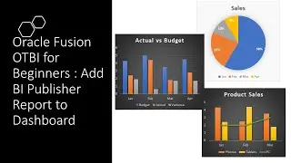 Oracle Fusion OTBI For Beginners - Part 14 BI Publisher Report in OTBI Dashboard