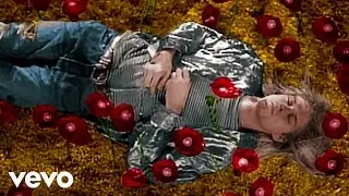 Nirvana - Heart-Shaped Box (Directors Cut)