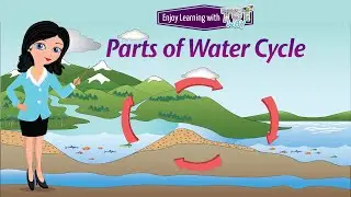 Water Cycle | Water Cycle for Kids | Parts of Water Cycle | Process of Water Cycle | Science