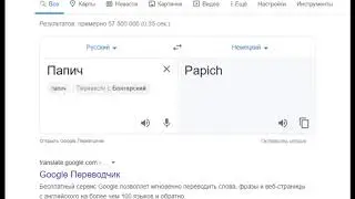 папич переводчик мем