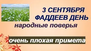 3 сентября-ДЕНЬ ФАДДЕЯ ПРОПОВЕДНИКА.Что положить в карман для удачной дороги.Приметы