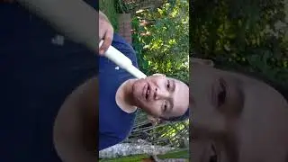 makan pohon pisang,salah satu cara bertahan hidup di hutan