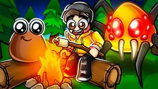 POU CAMPING...