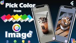 Extract color from Image | Flutter Image color picker