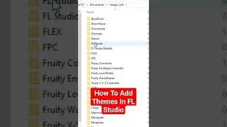 How To Add FL Studio Themes In FL Studio Then Use Them In FL Studio