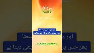 اور وہی بجلیاں بھیجتا پھر جس پر چاہتا ہے گرا بھی دیتا ہے 
