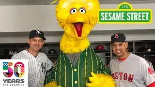 Sesame Street: Respect is a Home Run!