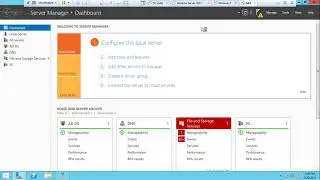 Install and configure Active Directory integrated Primary DNS Server(English version)