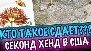 США 🇺🇲ПОХОД В СЕКОНДХЕНД КТО ТАКОЕ СДАЕТ? ФАРФОР, ПОСУДА, ХРУСТАЛЬ КАРТИНЫ СашаЛ Барахолка